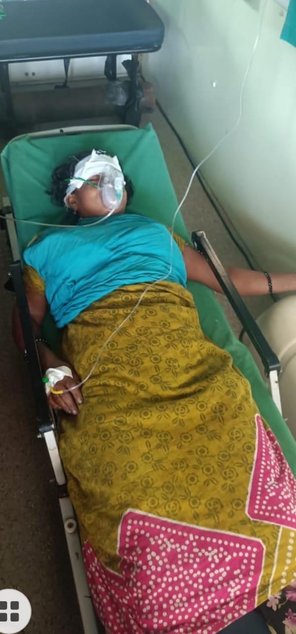 ಕಾಡಾನೆ ದಾಳಿ ಕಾರ್ಮಿಕ ಮಹಿಳೆ ಗಂಭೀರ…!