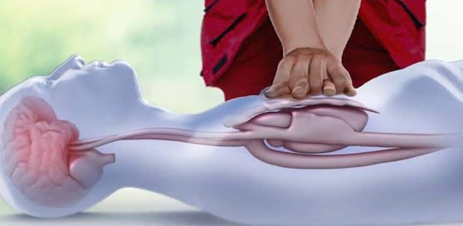 ಸಿ.ಪಿ.ಆರ್. ಅಥವಾ ಹೃದಯ ಪುನಶ್ಚೇತನ ಪ್ರಕ್ರಿಯೆ