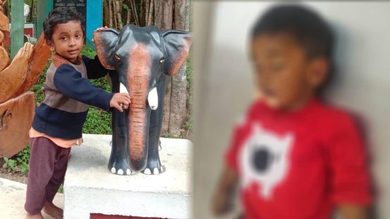 ಮಗುವಿಗೆ ವಿಷವಿಟ್ಟು ತಾಯಿಯು ಆತ್ಮಹತ್ಯೆ| ಚಿಕಿತ್ಸೆ ಫಲಕಾರಿ ಆಗದೇ 3 ವರ್ಷದ ಮಗು ಸಾವು