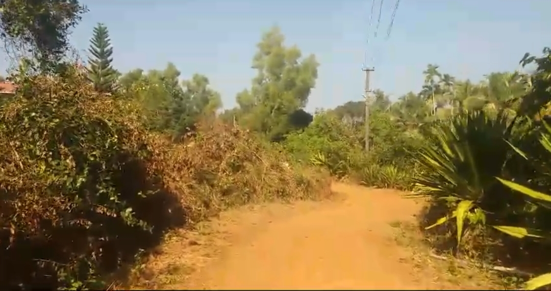 ಕಾಪು: ಮಳೆಗಾಲ ಕೆಸರು, ಬೇಸಿಗೆಯಲ್ಲಿ ಧೂಳು| ಇದು ರಸ್ತೆ ಪ್ರಯಾಣಿಕರ ಪಾಡು