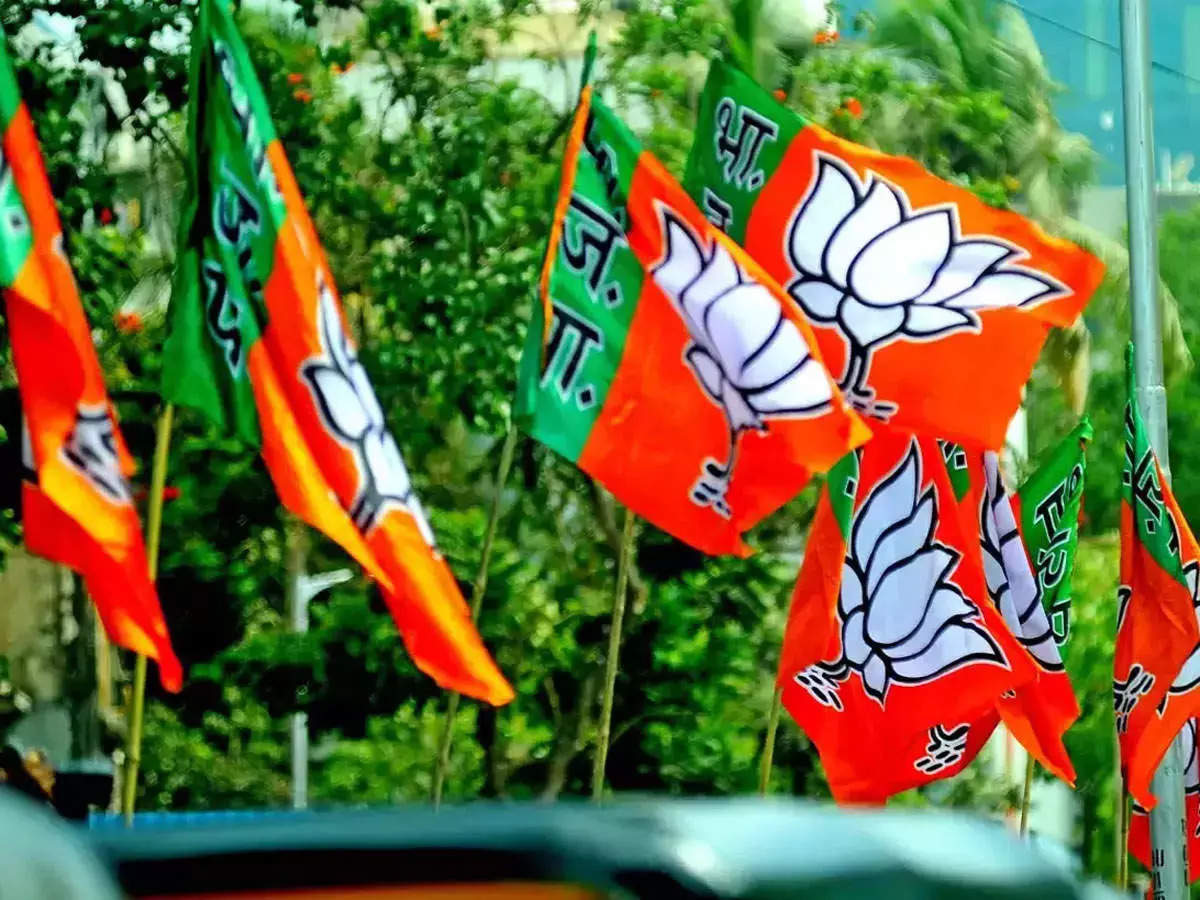 ರಾಜ್ಯಸಭಾ ಚುನಾವಣೆ/ ಬಿಜೆಪಿಯದ್ದೇ ಸಿಂಹಪಾಲು