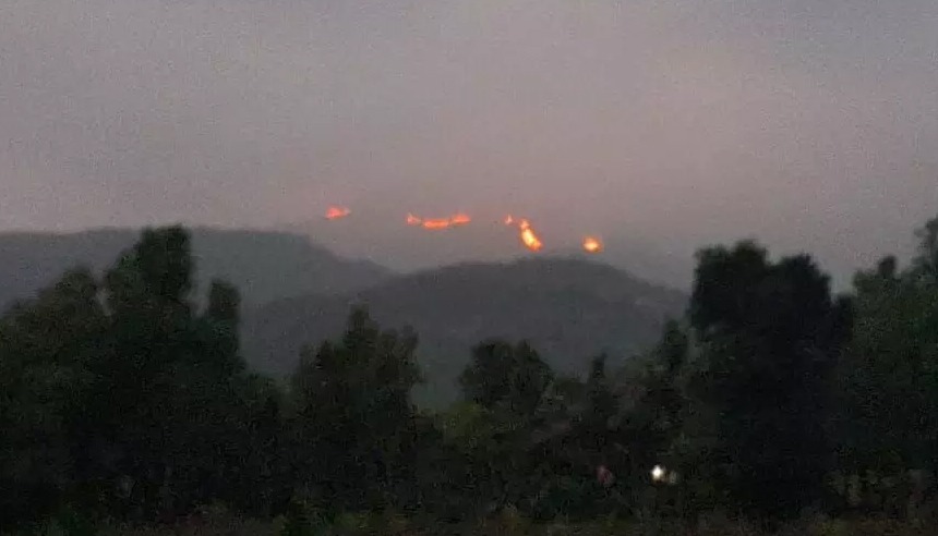 ಬೆಳ್ತಂಗಡಿ: ಕುದುರೆಮುಖ ರಾಷ್ಟ್ರೀಯ ಉದ್ಯಾನವನ ಪ್ರದೇಶದಲ್ಲಿ ಕಾಡ್ಗಿಚ್ಚು