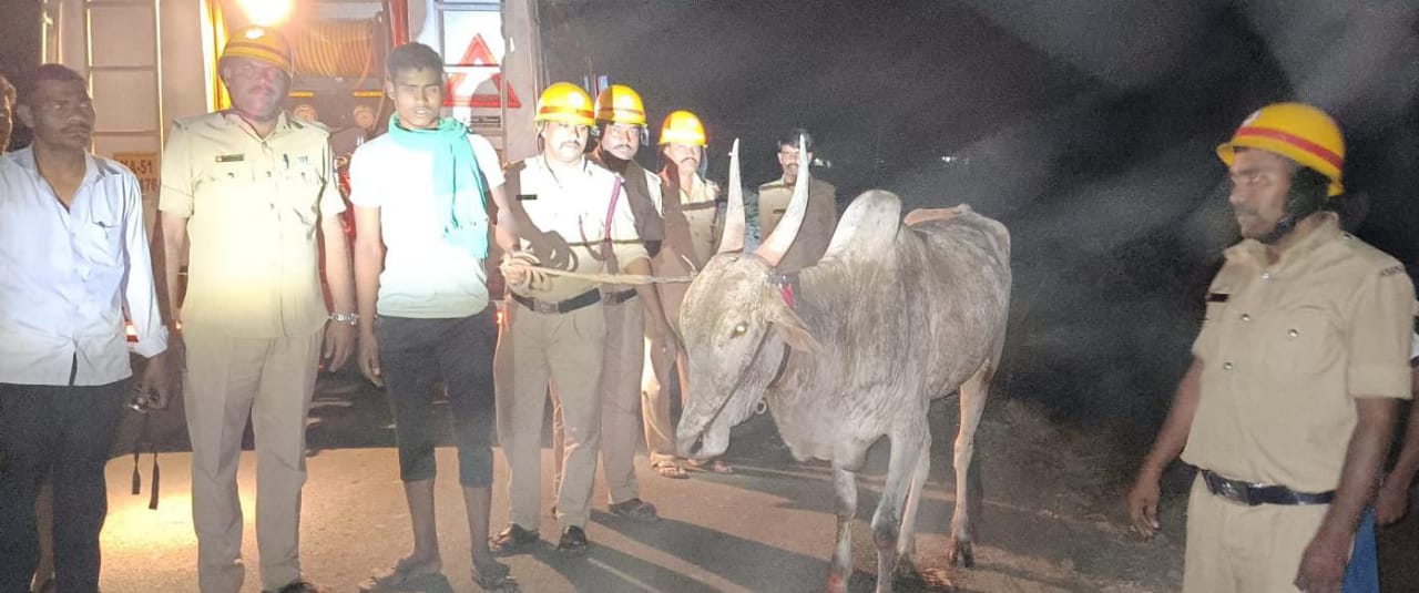 ಬೆಳಗಾವಿ:ಬಾವಿಗೆ ಕಾಲು ಜಾರಿ ಬಿದ್ದ ಎತ್ತು ಕಾಪಾಡಿದ ಅಥಣಿ ಅಗ್ನಿಶಾಮಕ ಸಿಬ್ಬಂದಿ