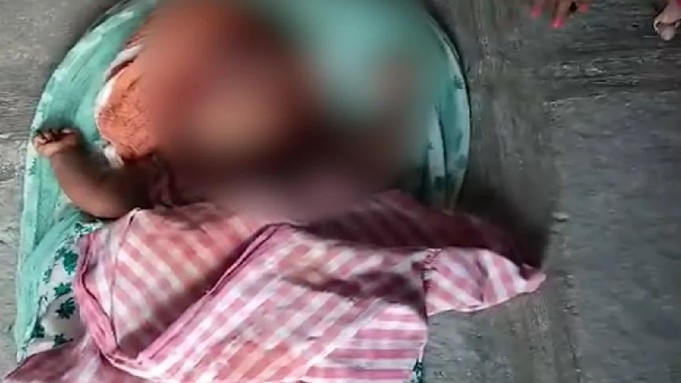 ಹೈದರಾಬಾದ್: ಐದು ತಿಂಗಳ ಮಗುವನ್ನು ಕೊಂದು ಹಾಕಿದ ನಾಯಿ