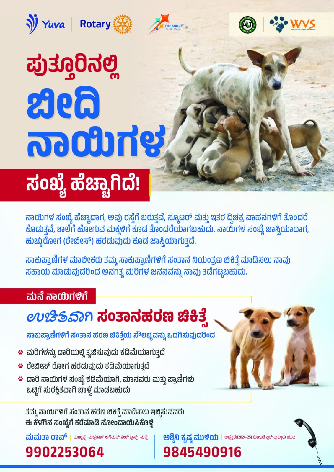 ಪುತ್ತೂರು: ಮನೆ ನಾಯಿಗಳಿಗೆ ಉಚಿತ ಸಂತಾನ ಹರಣ ಚಿಕಿತ್ಸೆ