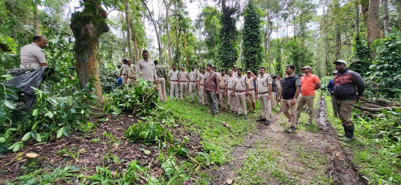 ಚಿಕ್ಕಮಗಳೂರು, ಕೊಡಗಿನಲ್ಲಿ ಅರಣ್ಯ ಒತ್ತುವರಿ‌ ತೆರವು| ಕಾಫಿ ಬೆಳೆದಿದ್ದ ಜಮೀನು ವಶಕ್ಕೆ ಪಡೆದ ಅರಣ್ಯ ಇಲಾಖೆ