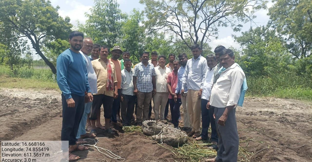 ಮೊಸಳೆ ಸೆರೆ ಹಿಡಿದ ಅಧಿಕಾರಿಗಳು.
