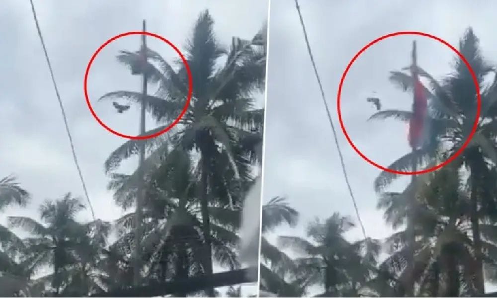 ಅಚ್ಚರಿಗೆ ಕಾರಣವಾದ ಆ.15ರ ಆ ಘಟನೆ| ಕಂಬದಲ್ಲಿ ಸಿಲುಕಿದ ರಾಷ್ಟ್ರಧ್ವಜವನ್ನು ಬಿಡಿಸಿದ ಹಕ್ಕಿ!! ಇಲ್ಲಿದೆ ವೈರಲ್ ವಿಡಿಯೋ