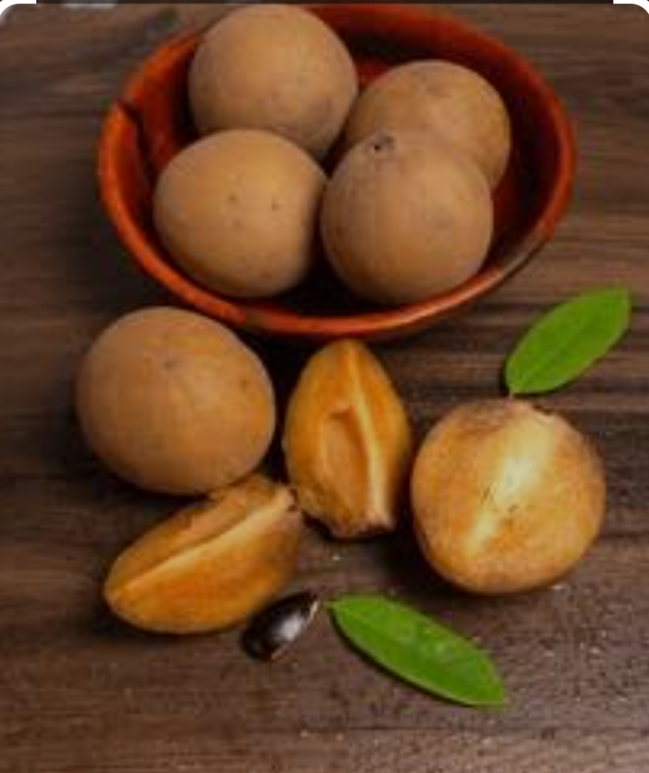 Helth tips:ಸಪೋಟ ಹಣ್ಣಿನ ಉಪಯೋಗಗಳು ಗೊತ್ತಾದರೆ ದಿನ ತಿನ್ನುವಿರ.| ಇಲ್ಲಿದೆ ಸಂಪೂರ್ಣ ಮಾಹಿತಿ