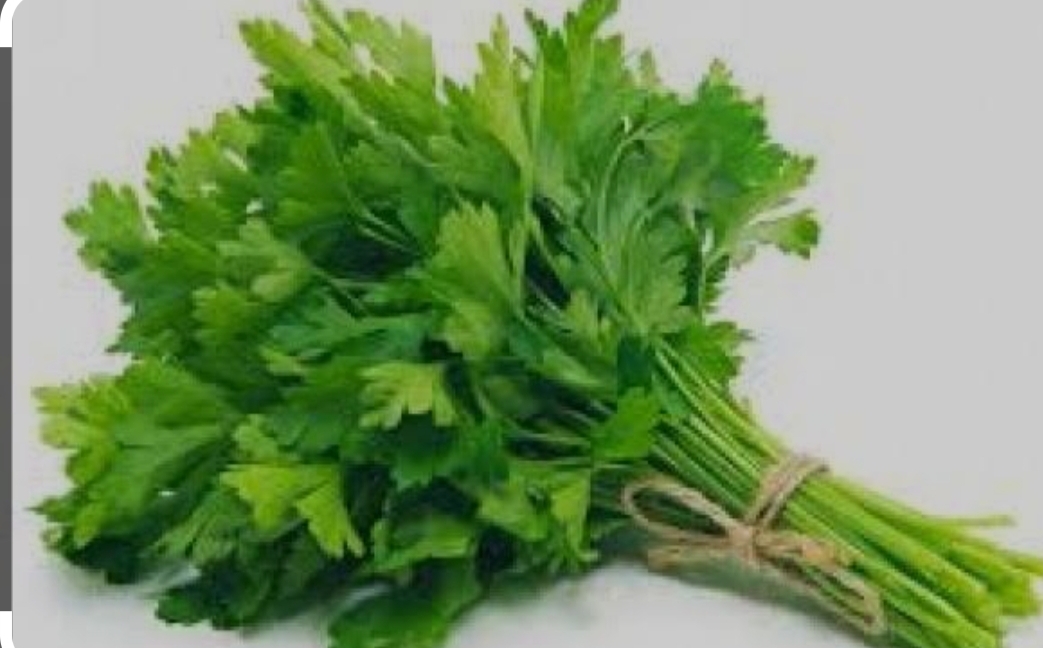 Helth tips: ಕೊತ್ತಂಬರಿ ಸೊಪ್ಪಿನ ಜ್ಯೂಸ್ ಕುಡಿಯುವುದರಿಂದ ಆಗುವ ಲಾಭಗಳೇನು ಗೊತ್ತಾ?