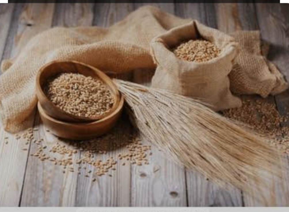 ಪ್ರತಿದಿನ ಬಾರ್ಲಿ ನೀರು ಕುಡಿದರೆ ಸಕಲ ರೋಗಗಳಿಂದ ದೂರವಿರಬಹುದು