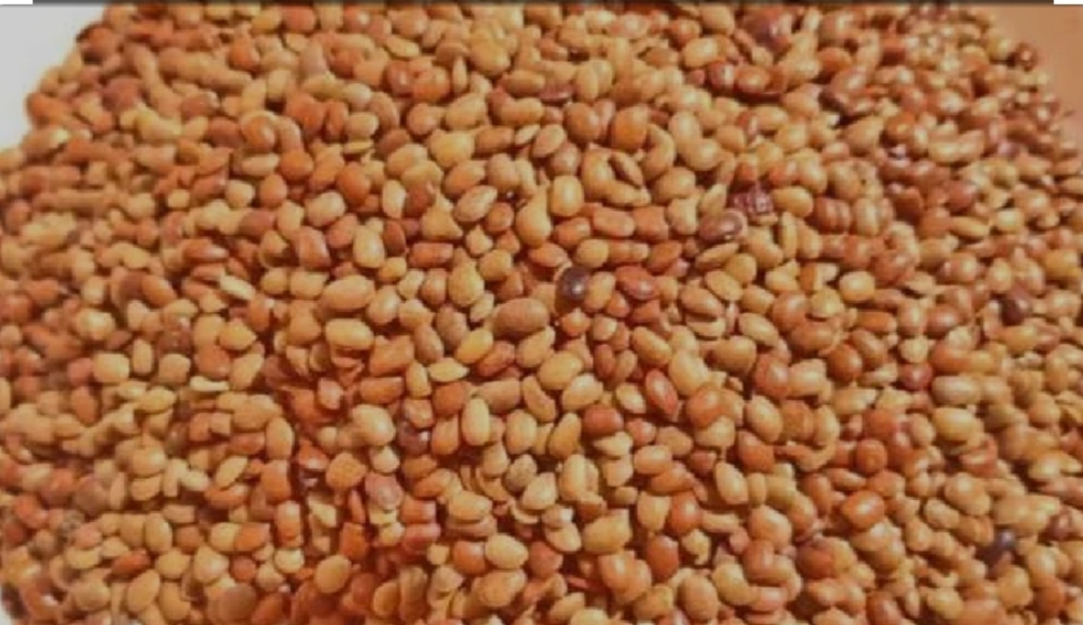 Helth tips:ಹುರುಳಿ ಕಾಳು ಸೇವನೆಯಿಂದ ಆರೋಗ್ಯಕರ ಪ್ರಯೋಜನಗಳು