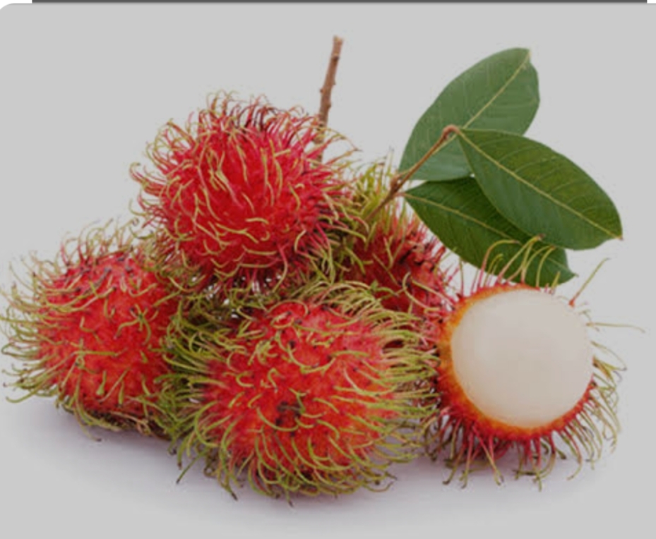 helth tips: ರಂಬೂಟ ಹಣ್ಣಿನ ಅದ್ಭುತ ಆರೋಗ್ಯಕರ ಗುಣಗಳು