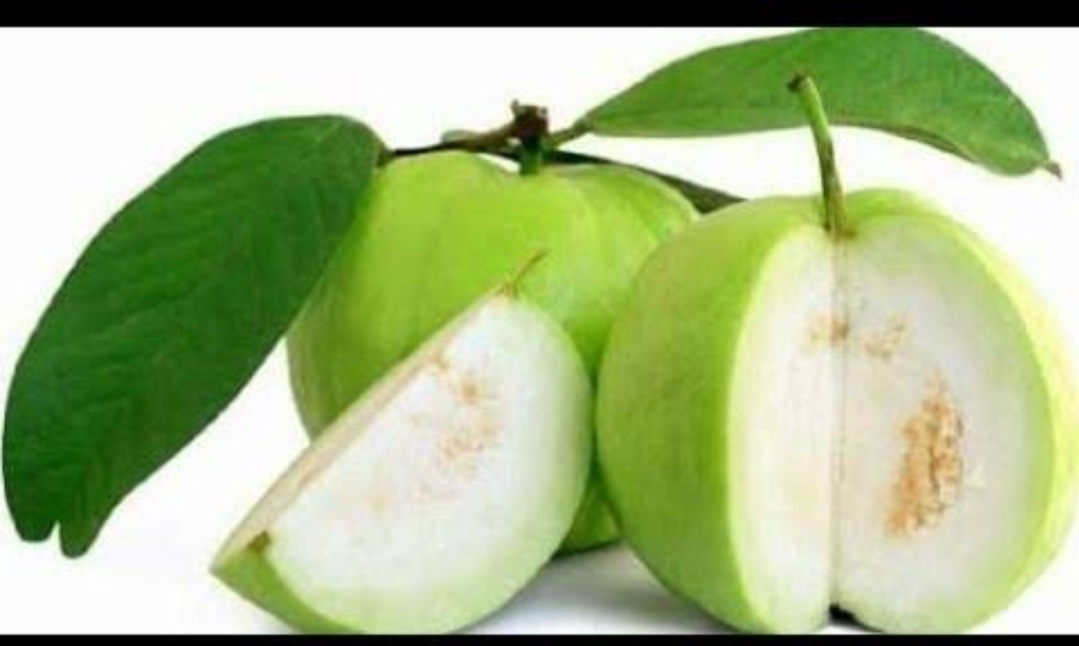 ಸೀಬೆಹಣ್ಣಿನ ಸೇವನೆಯ ಅದ್ಭುತ ಆರೋಗ್ಯ ಪ್ರಯೋಜನಗಳು