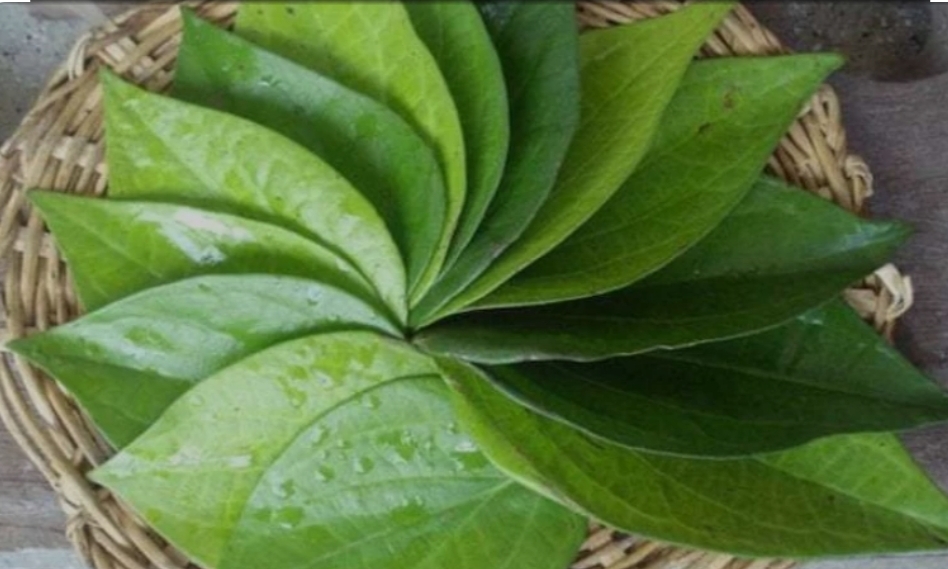 Helth tips: ವೀಳ್ಯದೆಲೆ ತಿನ್ನೋದ್ರಿಂದ ಆರೋಗ್ಯಕ್ಕೆಷ್ಟು ಪ್ರಯೋಜನವಿದೆ ಗೊತ್ತಾ.. ?