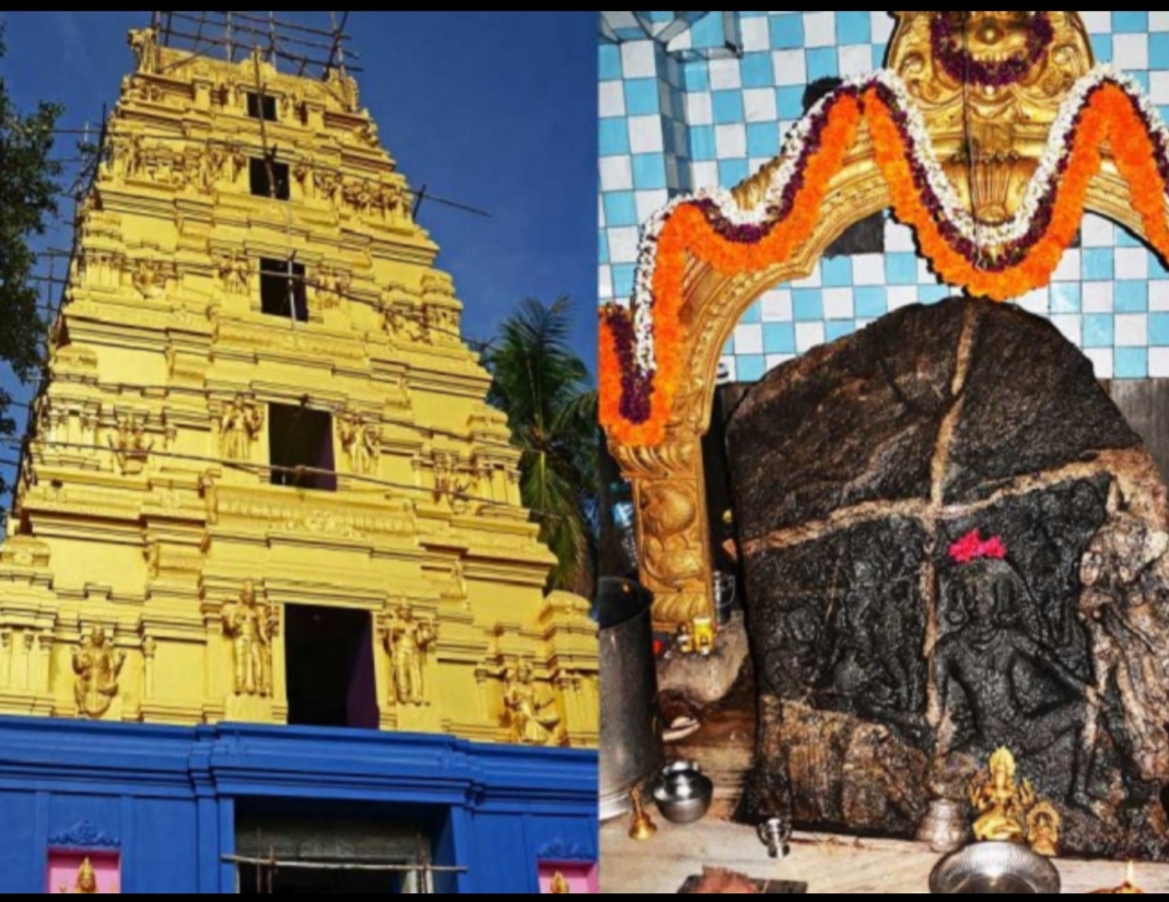 ಹಾಸನಾಂಬೆ ದರ್ಶನದ ಎಲ್ಲಾ ಪಾಸ್‌ ರದ್ದು: ಆಡಳಿತ ಮಂಡಳಿ ಆದೇಶ