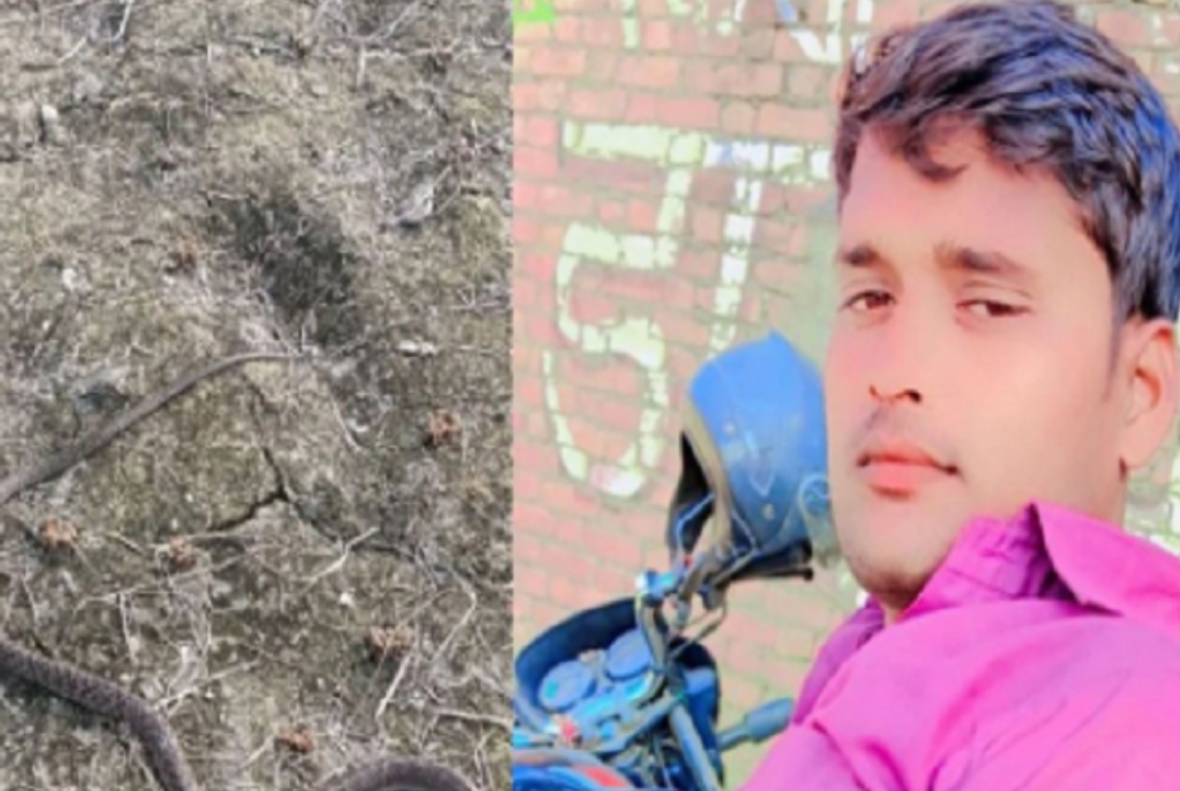 ಹೊಲದಲ್ಲಿ ಹಾವು ಹೊಡೆದು ಕೊಂದ ವ್ಯಕ್ತಿ, 1 ಗಂಟೆಯೊಳಗೆ ಸೇಡು ತೀರಿಸಿಕೊಂಡ ಮತ್ತೊಂದು ಹಾವು.!