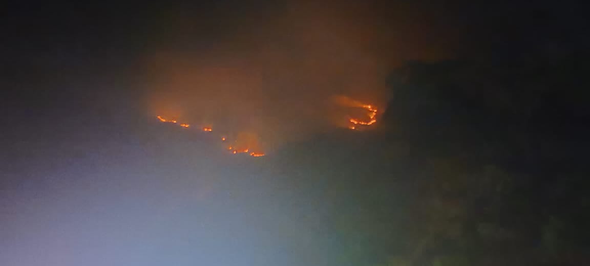 ಚಾರ್ಮಾಡಿ ಘಾಟ್: ಅಣ್ಣಪ್ಪ ಸ್ವಾಮಿ ದೇವಸ್ಥಾನ ಬಳಿ ಭಾರೀ ಕಾಳ್ಗಿಚ್ಚು