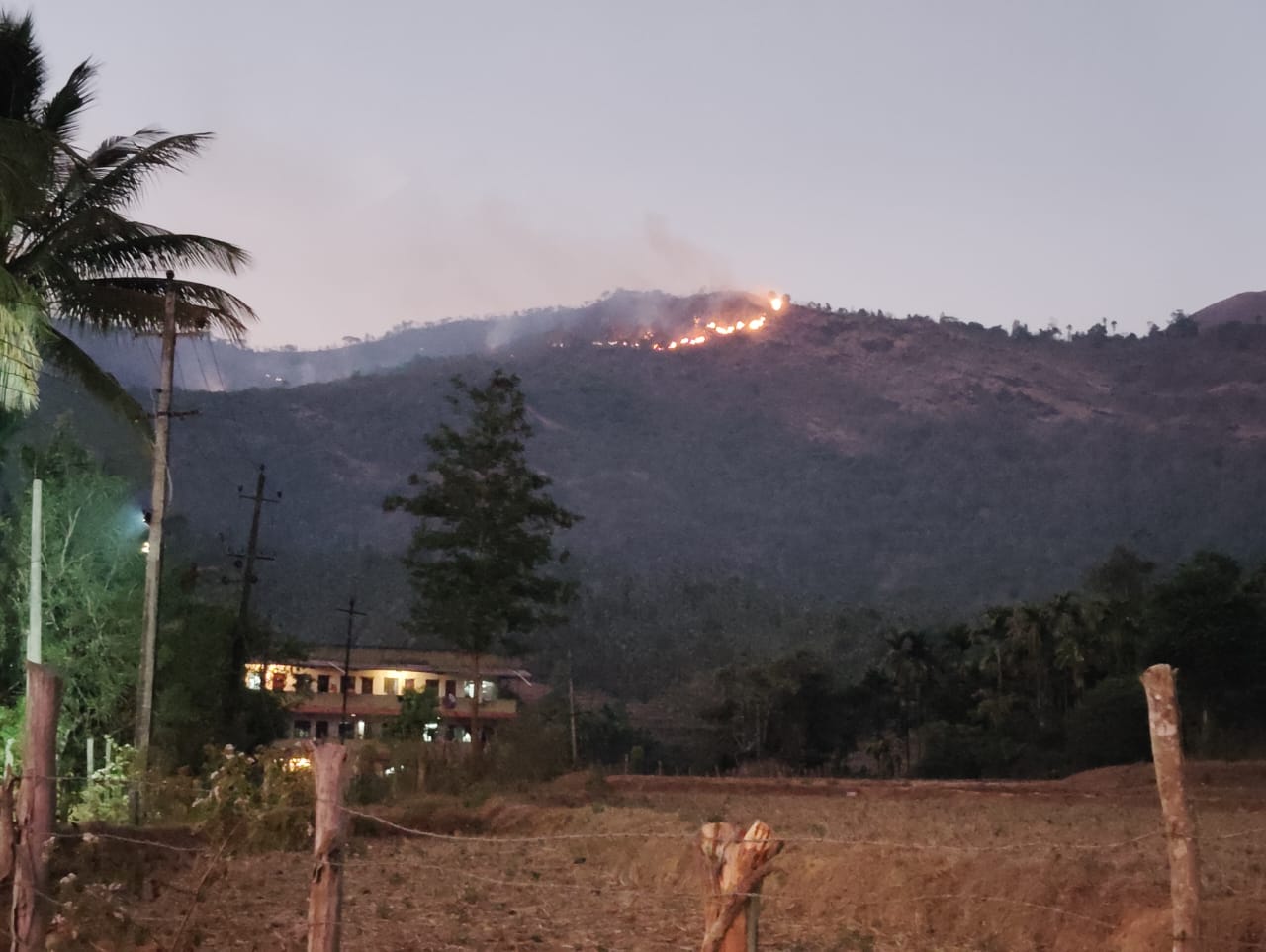 ಹೊರನಾಡು ಅರಣ್ಯ ಭಾಗಗಳಲ್ಲಿ ಕಾಳ್ಗಿಚ್ಚು| ಹತ್ತಾರು ಎಕ್ರೆ ಅರಣ್ಯ ಸಂಪತ್ತು ಬೆಂಕಿಗಾಹುತಿ