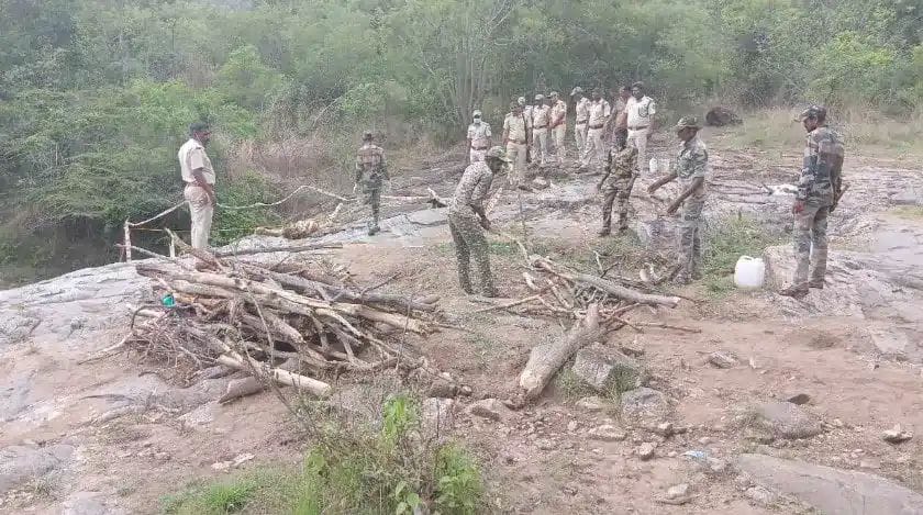 ಮಲೆಮಹದೇಶ್ವರ ಬೆಟ್ಟದಲ್ಲಿ ಐದು ಹುಲಿಗಳಿಗೆ ವಿಷವಿಕ್ಕಿ ಕೊಲೆ| ಮತ್ತೊಂದು ಹುಲಿಯೂ ಸಾವು