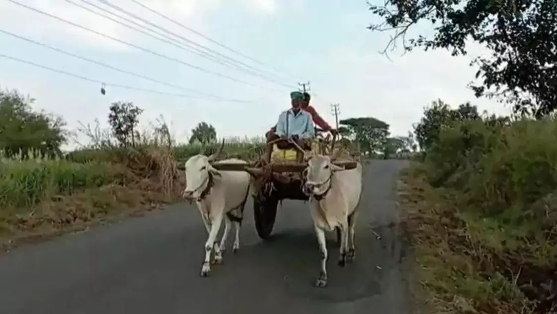 ರೈತಬಾಂಧವರೇ ಗಮನಿಸಿ| ಮುಂಗಾರು ಹಂಗಾಮಿನ‌ ಬೆಳೆವಿಮೆ ನೋಂದಾವಣೆಗೆ ಅಧಿಸೂಚನೆ ಪ್ರಕಟ| ಜು.30 ಕೊನೆ ದಿನ