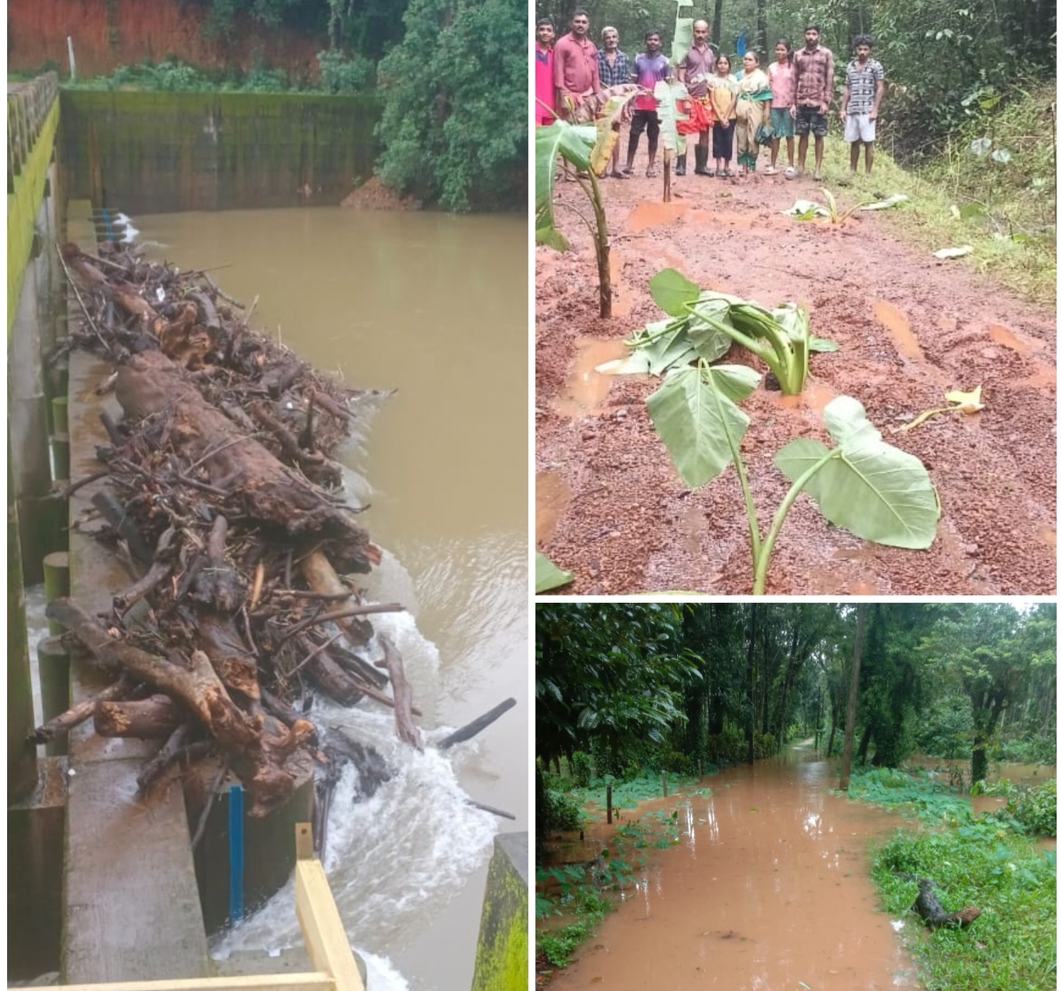 ಕೆಸರುಮಯವಾದ ರಸ್ತೆ  ಗ್ರಾಮಸ್ಥರಿಂದ ರಸ್ತೆ ಮಧ್ಯೆ  ಬಾಳೆಗಿಡನೆಟ್ಟು ಆಕ್ರೋಶ