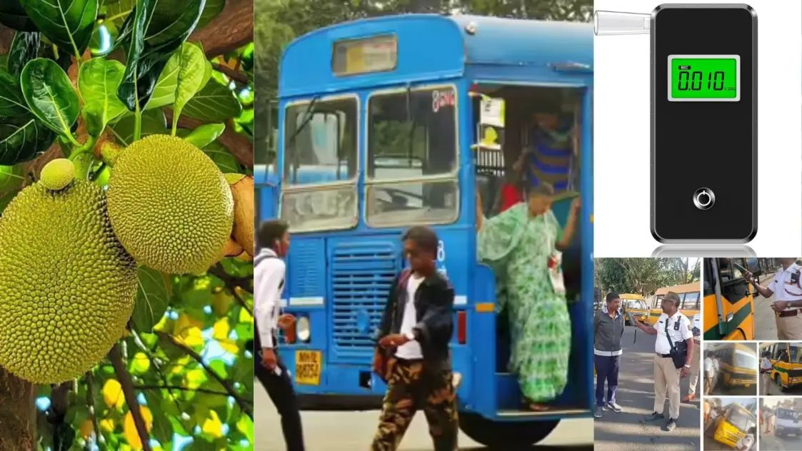 ಕುಡಿಯದಿದ್ರೂ ಚಾಲಕರ ಮೇಲೆ ಕೇಸು ಹಾಕಿದ ಅಧಿಕಾರಿಗಳು| ಕೇರಳ ಸಾರಿಗೆ ನಿಗಮದ ಚಾಲಕರ ಪಾಲಿಗೆ ವಿಲನ್ ಆದ ಹಲಸು