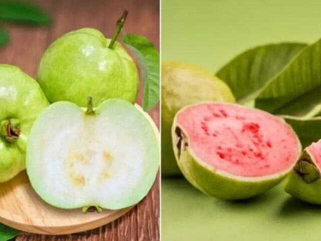 Health Tips| ಪೇರಲೆ ಎಲೆಯಲ್ಲಿದೆ ನಿಮ್ಮ ಕೂದಲಿಗೆ ಕಲರ್| ಈ ರೀತಿಯಲ್ಲಿ ಬಳಸಿ ನೋಡಿ…