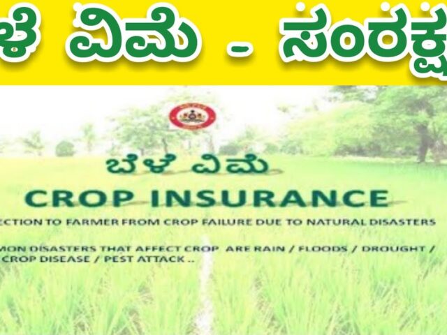 ಬೆಳೆವಿಮೆಯಲ್ಲಿ ರೈತರ ಖಾತೆಗೆ ನಿರೀಕ್ಷೆಗಿಂತ ಕಡಿಮೆ ವಿಮಾ ಮೊತ್ತ ಜಮೆ| ಇದನ್ನು ಸರಿಪಡಿಸೋದು ಹೇಗೆ?