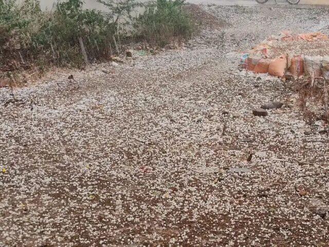 ರಾಜ್ಯದ ಹಲವು ಜಿಲ್ಲೆಗಳಲ್ಲಿ ಆಲಿಕಲ್ಲು ಮಳೆ| ಮಿನಿ‌ ಕಾಶ್ಮೀರದಂತಾದ ರಸ್ತೆಗಳು