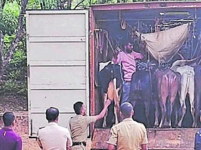 ಕಡಬ: ಅಕ್ರಮ ಗೋಸಾಗಾಟ; ಆರೋಪಿಯ ಬಂಧನ