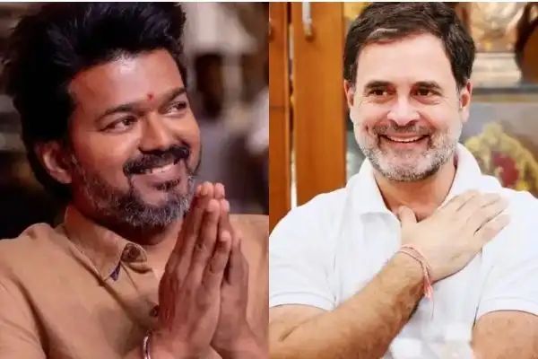 ವಿಜಯ್, ಮಮತಾಗೆ ಪೋನಾಯಿಸಿದ ರಾಗಾ| ತಮಿಳುನಾಡಿನಲ್ಲಿ ಅಧಿಕಾರ ಸ್ಥಾಪನೆಯ ಕಸರತ್ತು!!