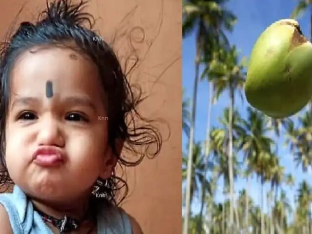 ತಾಯಿಯ ಕಂಕುಳಲ್ಲಿದ್ದ ಮಗುವಿನ ತಲೆಗೆ ತೆಂಗಿನಕಾಯಿ ಬಿದ್ದು ಸಾವು
