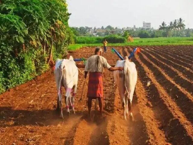 14.43 ಲಕ್ಷ ಜನರ ಬೆಳೆ ಸಾಲ ಮನ್ನಾ ಮಾಡಿದ ತಮಿಳುನಾಡು ಸಿಎಂ