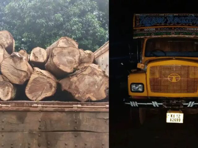 ಬೆಳ್ಳಾರೆ: ಅಕ್ರಮ ಮರ ಸಾಗಾಟ| ಲಾರಿ‌ ಸಹಿತ ಆರೋಪಿ ವಶಕ್ಕೆ